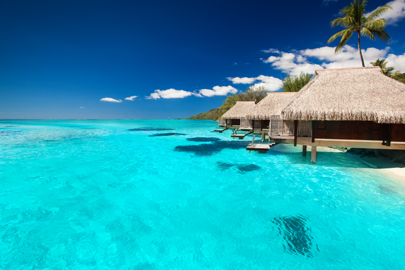 Luxusurlaub zum Sparpreis: 5 Profi-Tricks für unsere Suchmaschine.